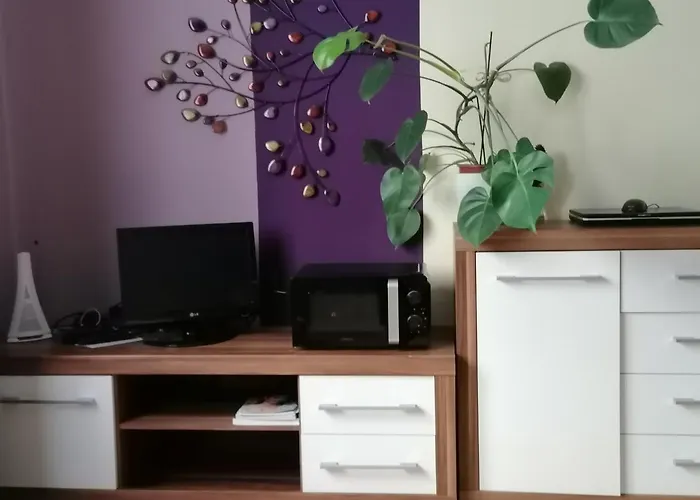 Appartement Operngasse-karlsplatz *